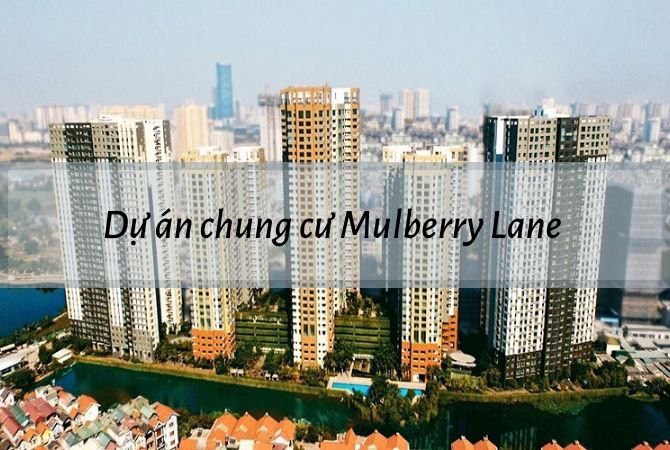 DỰ ÁN THAM GIA